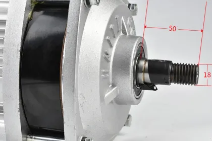 BM1412ZXF 48V 60V 1000W-1200W Three-Wheel Tricycle BLDC Motor Electric Tricycle Motor