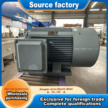 YE3 cast iron housing 380V motor