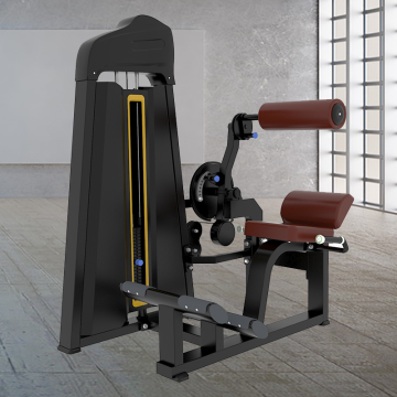 Functional Fitness Equipment Back / Abdominal Machine