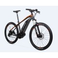 Best Price Ebike Without Throttle