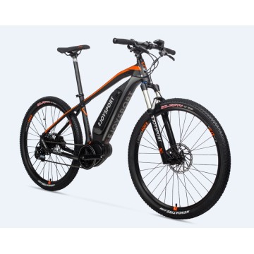 Miglior prezzo ebike senza farfalla