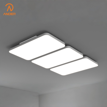 Plafonnier LED polyvalent série ZL