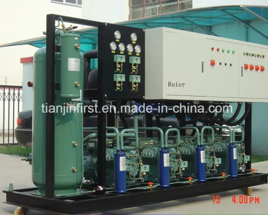 Refrigeration Compressor for Cold Room Freezing