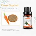 Pure organic fragrance carrot seed essential oil