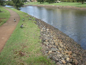 Gabion for Water Conservancy
