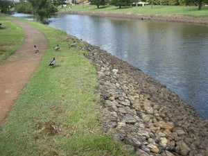 Gabion for Water Conservancy