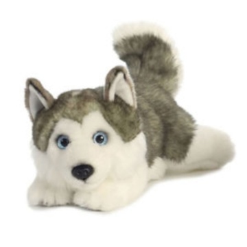 Soft Husky Plush Dog Stuffed Toys as Valentine's Gifts