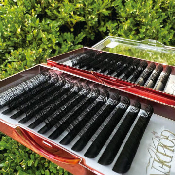 Customizable Camellia Eyelash Extensions - Thick, Long, and Hand-Made with a Choice of Black or Customized Logo