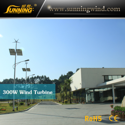 Wind Solar Street Light/ (LED Lighting)