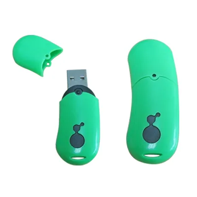 Flash Memory Card Reader