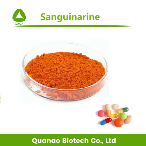 Sanguinarine Powder 60% Macleaya Cordata Extract Powder Sanguinarine 60% Supplier