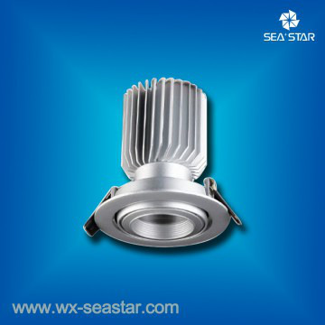 LED light bulb, spot light, 21W COB LED Down light