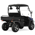 Electric 4x4 Utv Electric Go Kart