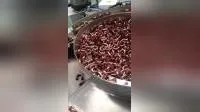 Fully Automatic Hairpin Bender with Durable Ring Inserting and Loading