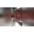 Fully Automatic Hairpin Bender with Durable Ring Inserting and Loading