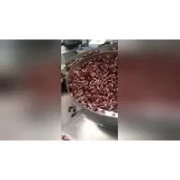 Fully Automatic Hairpin Bender with Durable Ring Inserting and Loading