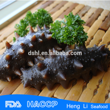 HL011 Delicious Top Quality Sea cucumber, Frozen sea cucumber