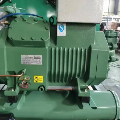 Customized Bitzer Semi-Enclosed Condenser Unit for Refrigerated Meat and Seafood Storage (10HP/20HP)