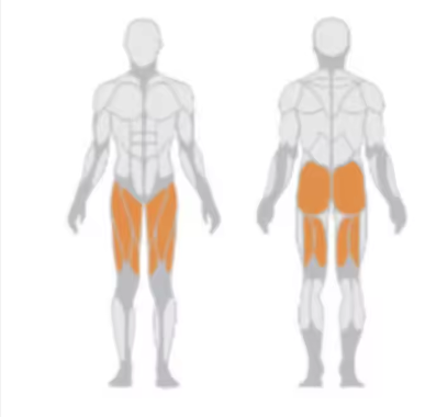 Commercial Professional Super Hack Squat Gym Equipment