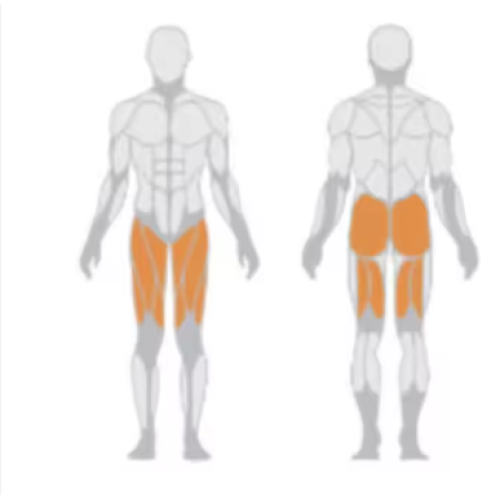 Commercial Professional Super Hack Squat Gym Equipment