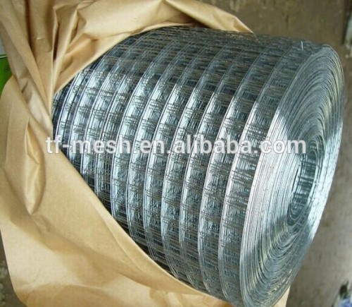 PVC Coated Galvanized Welded Wire Mesh( ISO 9001)