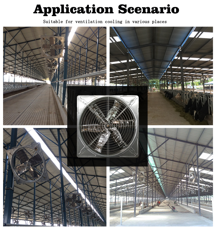cow house hanging fan