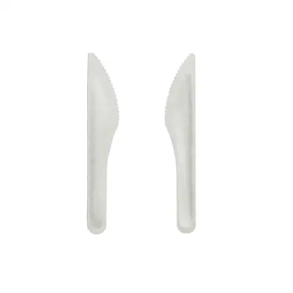 compostable packaging bagasse sugarcane disposable tableware food boxes