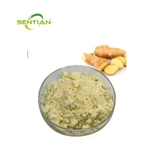 Natural Gingerol 1%-20% Ginger root extract Powder