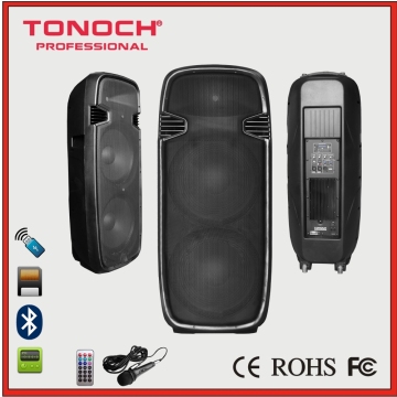 300 Watt Rms OEM 215 Dual 15 Inch Woofer Powered Speaker