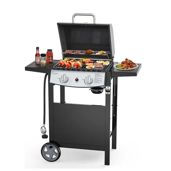2 Burner Stainless Steel Propane Gas Grill with Side Shelves for Outdoor Use