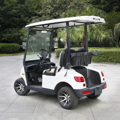 2 Seater Golf Cars Near Me