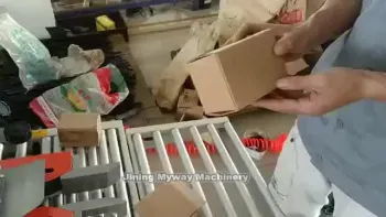 Adhesive Tape Box Carton Box Sealing Machine