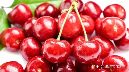 Hot selling Sour Cherry Extract