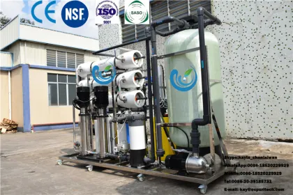 Brackish Water Process Reverse Osmosis(RO) DOW Membrane Filter Machine 2500L/Hr