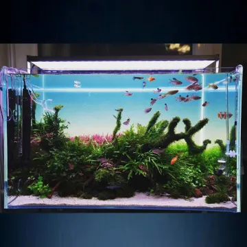 DC24V Fish Tank RGB LED Backlight Panel Light