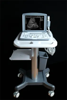 Portable B-Ultrasound Scanner for Cardiovascular