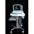 Portable B-Ultrasound Scanner for Cardiovascular