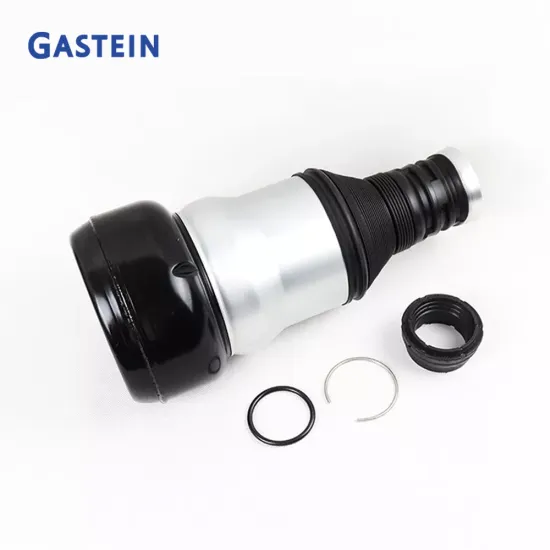 Premium Auto Parts Pneumatic Air Suspension Spring Air Bag for Mercedes-Benz 2223200313 2223200413