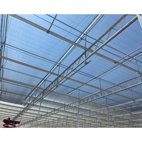 Scientific Research Agricultural Planting Greenhouse