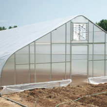 Invernadero gótico de un solo tramo para verduras y flores