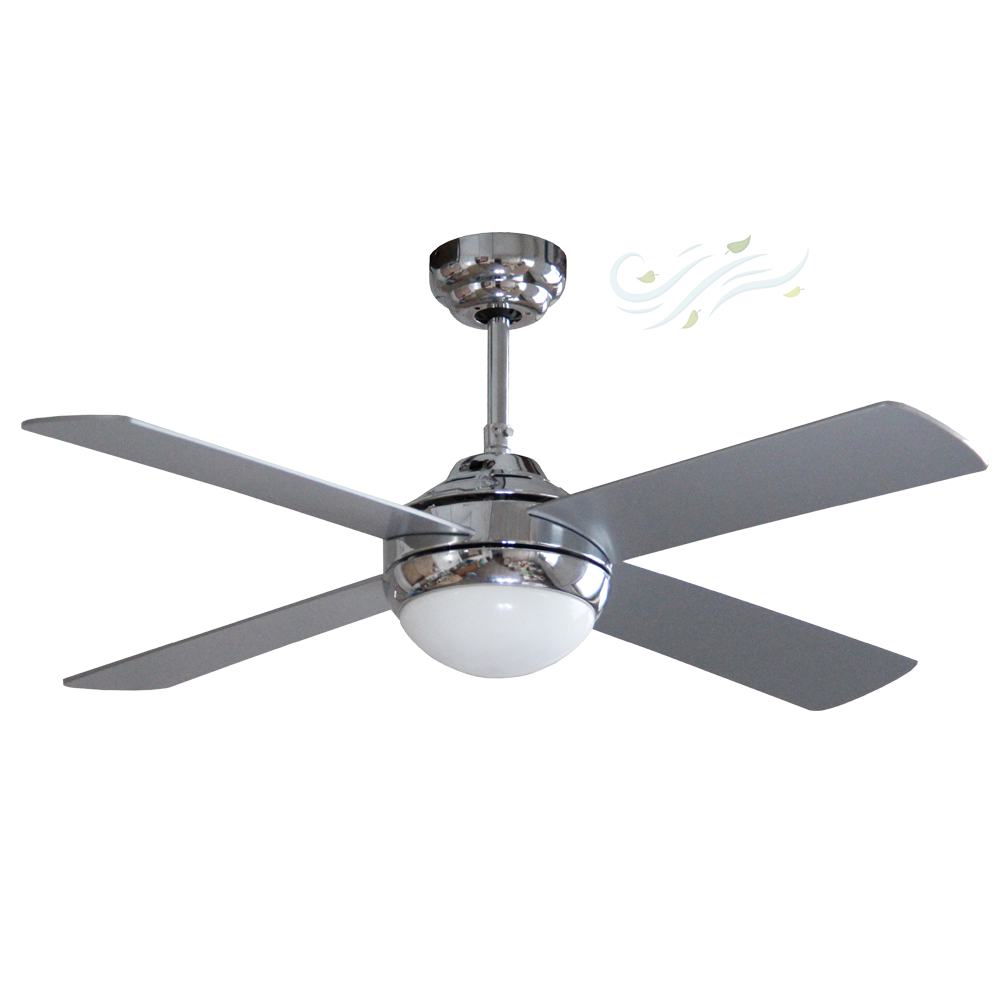 ceiling fan with light