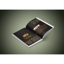 雑誌用のカスタマイズ可能な色の組み合わせ