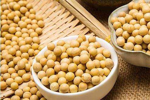 Soybean Extract3