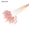 light pink type1
