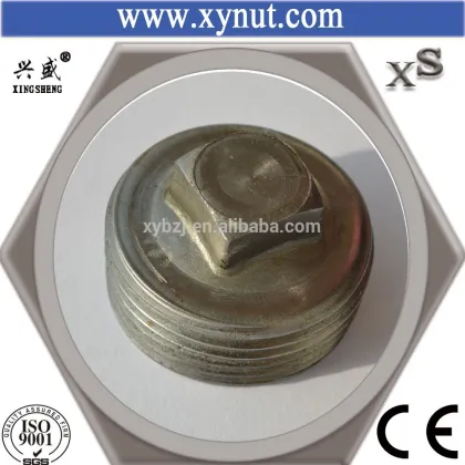 Pip Fittings, plumbing pipe, Square plug