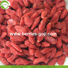Keine Pestizid-natürliche Nahrung Authentische allgemeine Goji-Beere