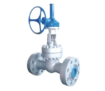 Forged steel low-temperature gate valve