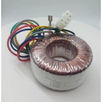 GuangDong OEM Toroidal core Transformer