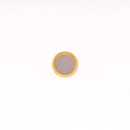 New Technology Customized Wire Mesh Filter Disc