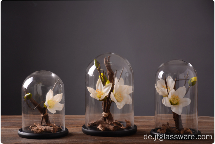 Großhandel Holz Cloche Glocke Glas Blumen Glaskuppel Set